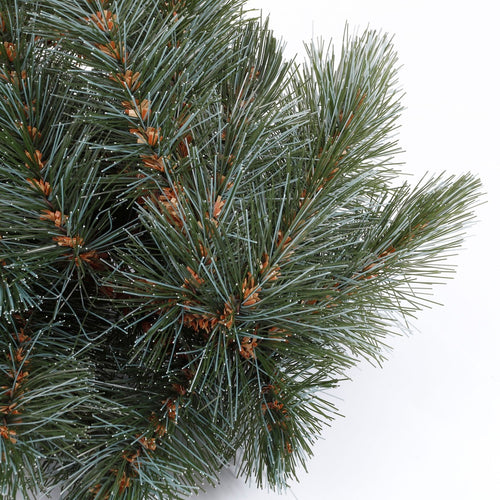 Triumph Tree Forest Frosted Guirlande Swag - L180 cm - Newgrowth Blue