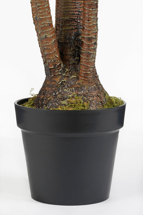 Mica Decorations Yucca Kunstplant - H160 x Ø80 cm - Groen - vtwonen shop