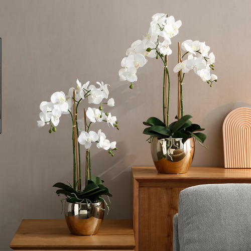 Sia Deco Orchidee Compositie Met Vaas - wit - goud - H79 - vtwonen shop