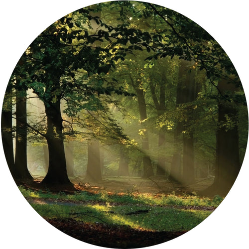 Sanders & Sanders zelfklevende behangcirkel bosrijk landschap groen - Ø 70 cm - 601097