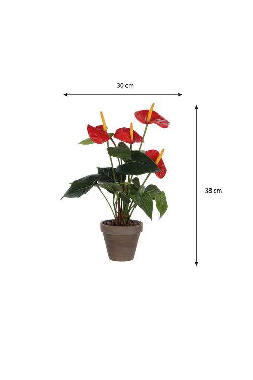 Mica Decorations Anthurium Kunstplant in Bloempot Stan - H38 x Ø30 cm - Rood