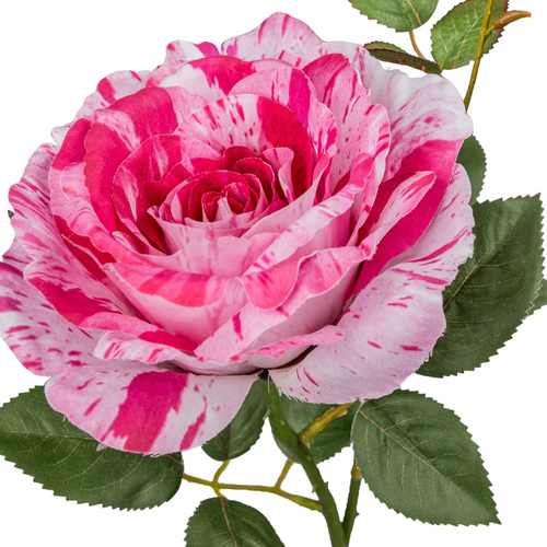 Flourify kunstbloem - Roos - 72 cm - bundel van 5 - vtwonen shop