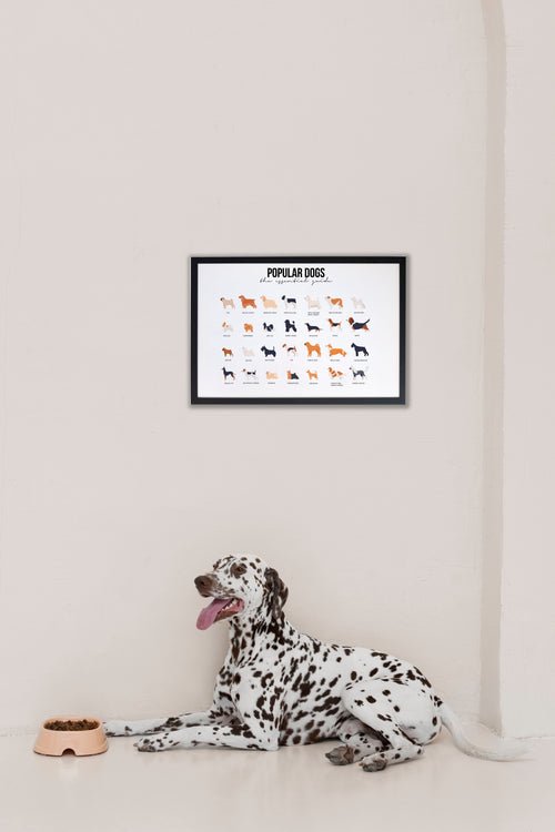 Zwarte lijst met kader 40x30 honden - vtwonen shop