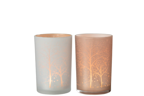 J-Line windlicht Boom - glas - wit/zalm - large - 2 stuks - vtwonen shop