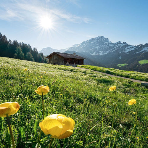 Sanders & Sanders fotobehang Alpen groen en blauw - 400 x 280 cm - 612594