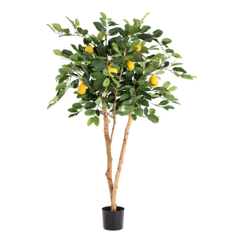 Maxifleur Citroen Kunstplant 120cm