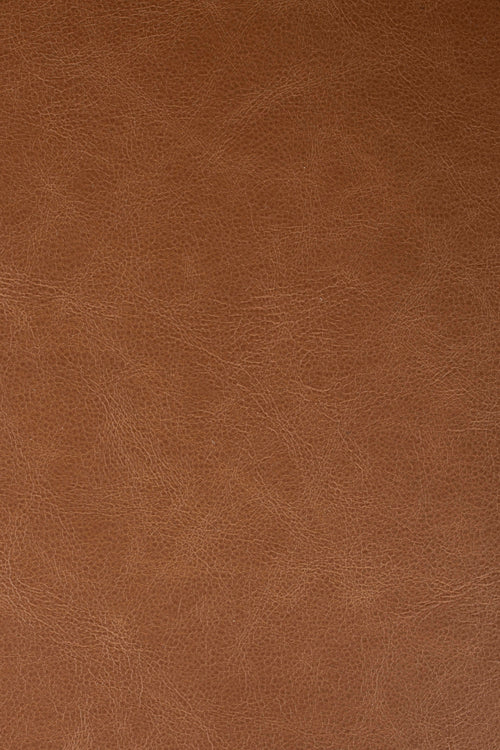 Zuiver Brit LL Eetkamerstoelen armleuning Bruin - Set van 2 - vtwonen shop