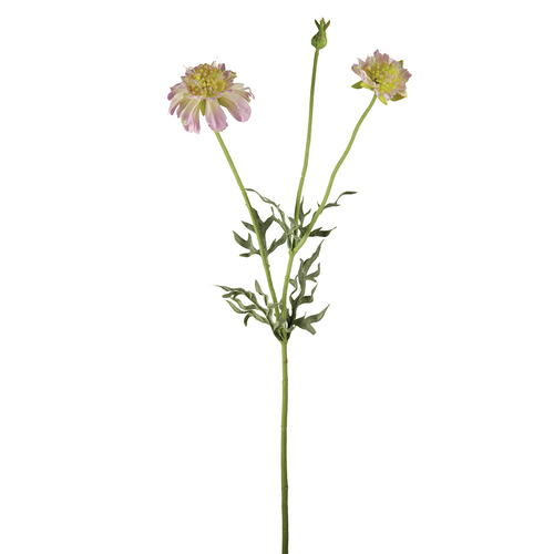 Sia Deco Kunstmatige Scabiosa Bloeiende Stengel - Mauve - H50 - vtwonen shop