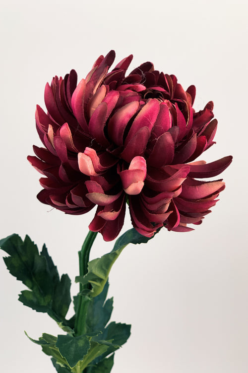 My Flowers.shop Roze chrysant zijden bloem | Lengte  60 centimeter | Per stuk - vtwonen shop