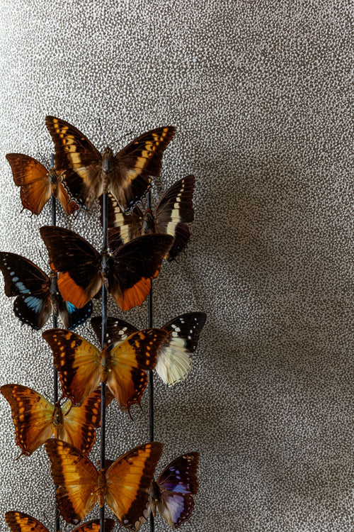 Masureel behang stippen bruin - 53 cm x 10.05 m - 630109