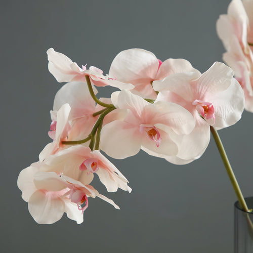 Sia Deco Orchidee Phalaenopsis Steel Kunstmatig - roze en wit - H50 - vtwonen shop