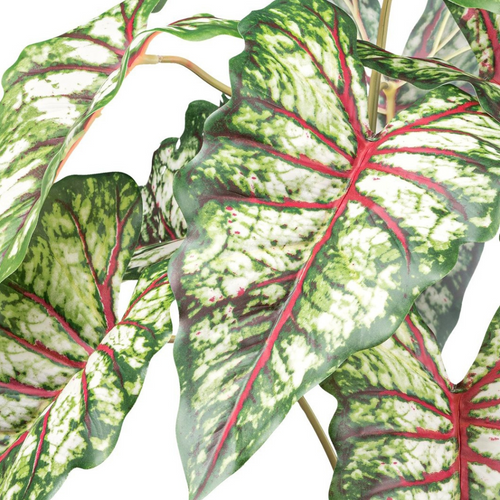 Flourify kunstplant - Syngonium - 66 cm