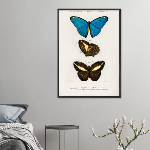 Artfulprints Poster Charles Dessalines d'Orbigny - Different types of butterfly   - 70x100 cm - Meerkleurig