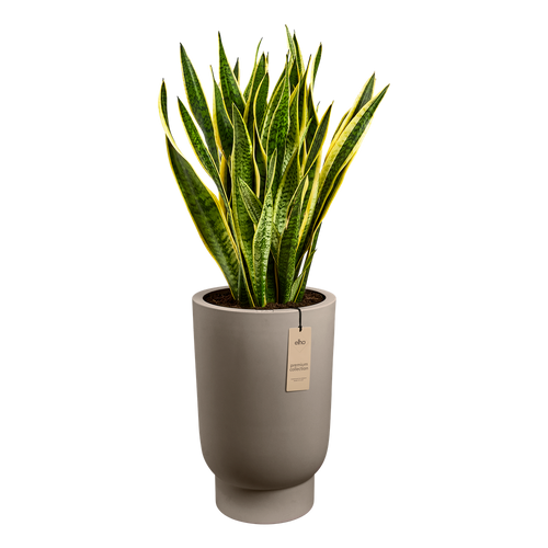 elho amber grail high 40 burnt umber | planter | Geschikt voor binnen en buiten