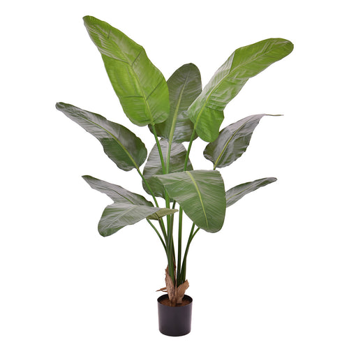 Maxifleur Strelitzia Nicolai deluxe Kunstpalm 145cm