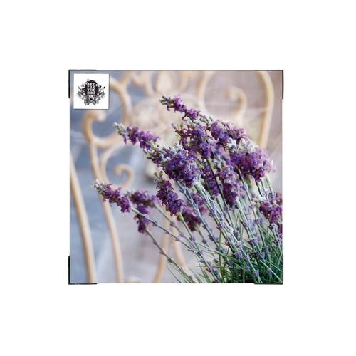 Art for the Home Lavendel Harmonie Buitencanvas 50x50 cm - vtwonen shop