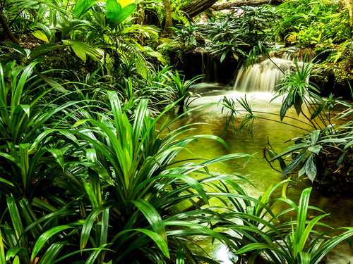 Sanders & Sanders fotobehang waterval groen - 375 x 270 cm - 600551