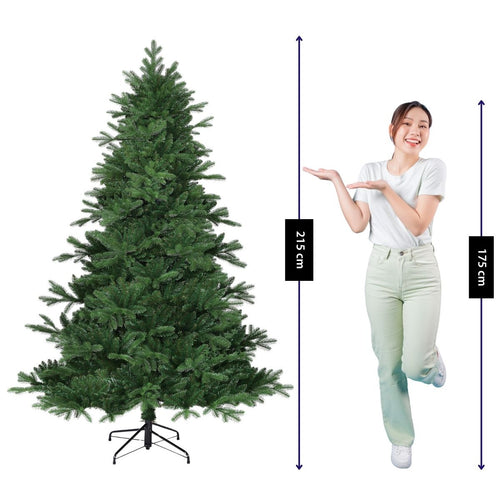 Black Box Trees Brampton Kerstboom - Realistische Kunstboom met Scharnierconstructie - Kerstversiering voor Binnen - Klassieke Boom van PE Naalden -