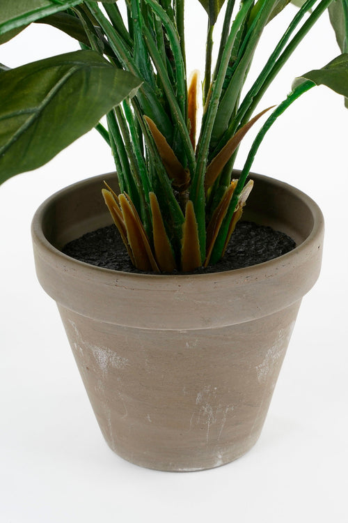 Mica Decorations Spathiphyllum Kunstplant in Bloempot Stan - H50 x Ø40 cm - Wit