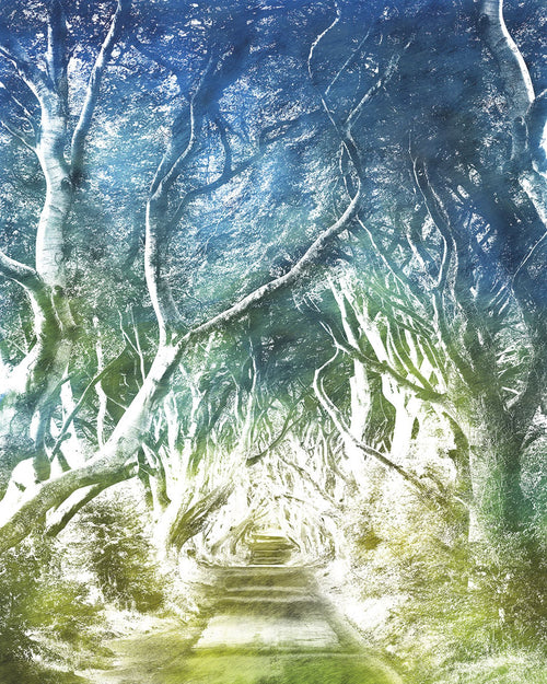 Sanders & Sanders fotobehang landschap groen en blauw - 200 x 250 cm - 611921