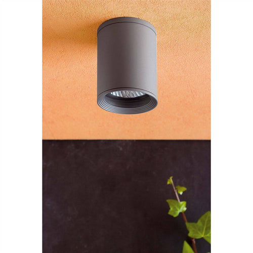 Faro Tasa - 1 Licht Buiten Opbouw Plafondlamp Donkergrijs IP44