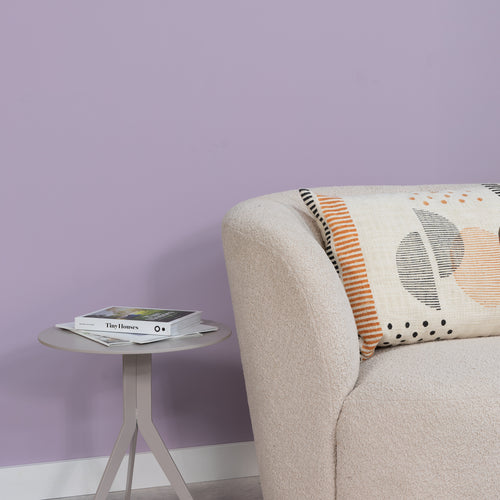 Spinder x Eva van de Ven 2,5L matte muurverf - Philipa - vtwonen shop