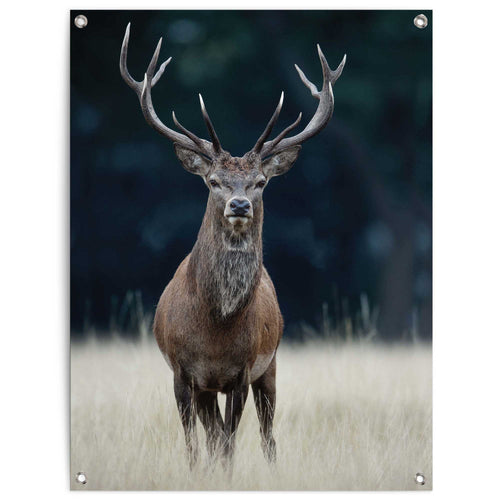 Reinders tuinposter Hert - 80x60cm