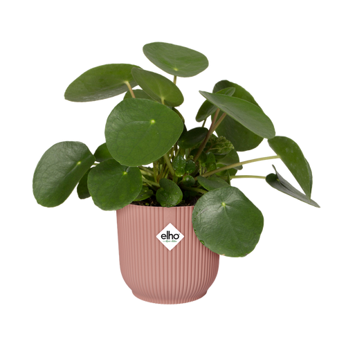 elho vibes fold rond 35 delicaat roze | Bloempot | Modern decoratief ribpatroon
