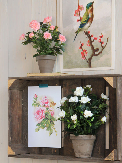 Mica Decorations Rozenstruik Kunstplant in Bloempot Stan - H33 x Ø25 cm - Wit