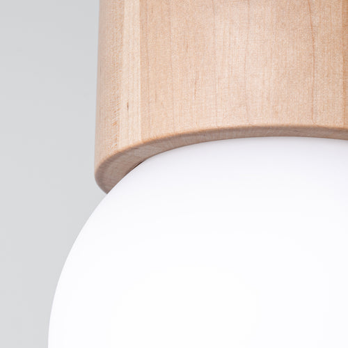 Sollux Lighting Plafondlamp BOOMO 8 - 12x12x19cm