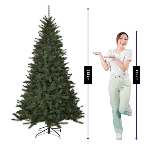 Black Box Trees Toronto Kerstboom - Kunstboom met Frosted Naaldtips voor Bevroren Effect - Kerstversiering voor Binnen - Scharnierconstructie voor