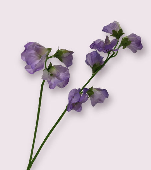 My Flowers.shop Lilakleurige lathyrus zijden bloem | Lengte 48 centimeter | Per stuk - vtwonen shop