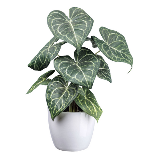 Flourify kunstplant - Anthurium - 37 cm - vtwonen shop