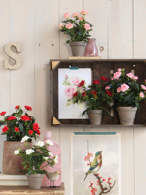 Mica Decorations Rozenstruik Kunstplant in Bloempot Stan - H33 x Ø25 cm - Wit - vtwonen shop