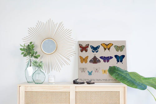 Canvas 60x40 Afdruk Gekleurde Vlinders