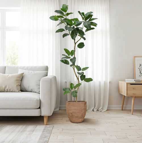 Maxifleur Ficus Audrey Kunstboom RT 240cm