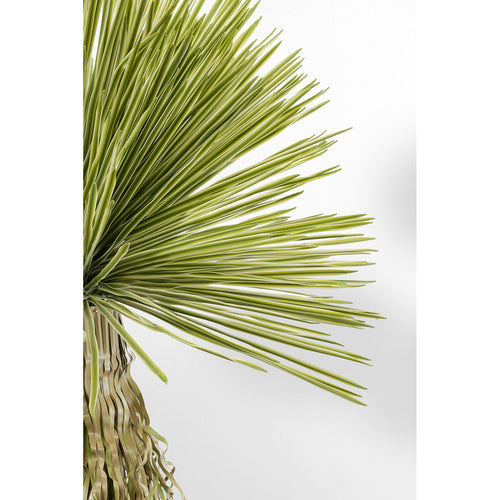 Kare Design Kunstplanten - Yucca - 180cm - vtwonen shop