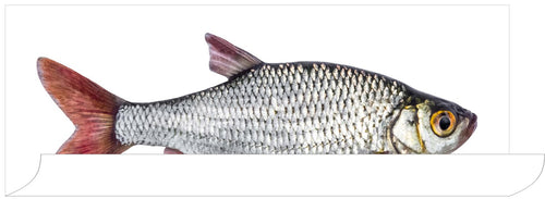 ESTAhome muursticker vis grijs en rood - 97 x 48.5 cm - 159039