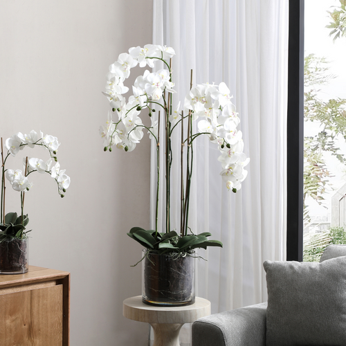 Sia Deco Orchidee Compositie Met Vaas - wit - transparant - H126 - vtwonen shop