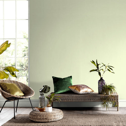 Graham & Brown After Dinner Mint - Matte Muurverf - 2,5L - vtwonen shop