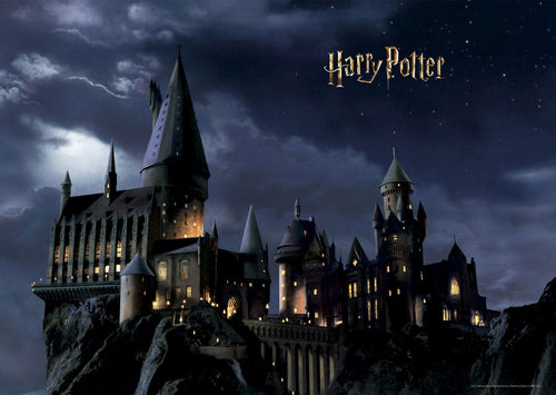 Sanders & Sanders fotobehang Harry Potter Zweinstein zwart en donkerblauw - 182 x 252 cm - 601279