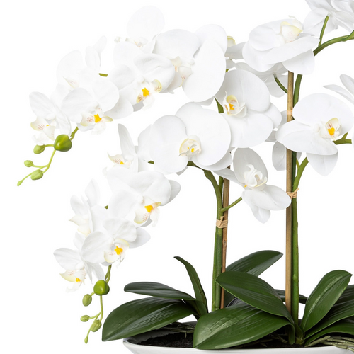 Flourify - Kunstbloem - Orchidee - 53 cm - vtwonen shop