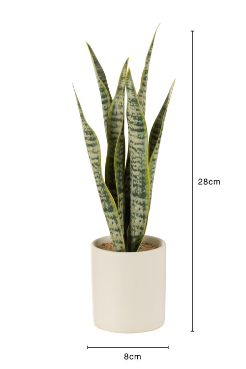 J-Line plant Sansevieria in pot - kunststof - groen - small