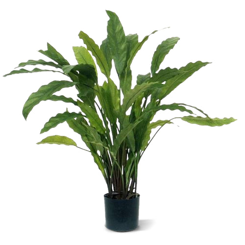 Maxifleur Calathea kunstplant 60cm - groen