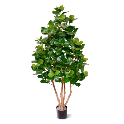 Maxifleur Clusia deluxe kunstboom 120cm