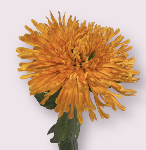 My Flowers.shop Oranje chrysant zijden bloem | Lengte  65 centimeter | Per stuk - vtwonen shop