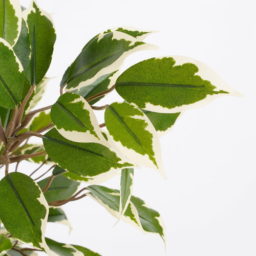 Mica Decorations Ficus Natasja Kunstplant in Bloempot Stan - H40 x Ø30 cm - Groen Bont