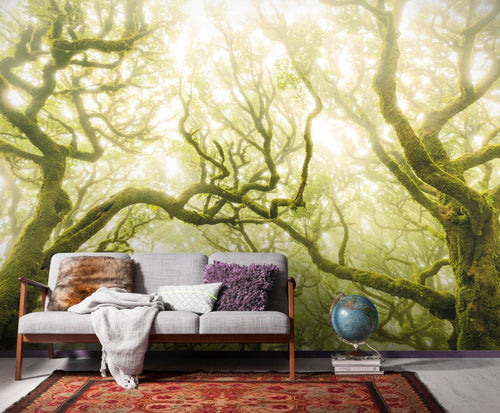Sanders & Sanders fotobehang bos groen - 400 x 250 cm - 612519 - vtwonen shop