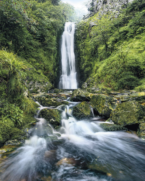 Sanders & Sanders fotobehang waterval groen - 200 x 250 cm - 612508