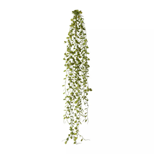 Flourify - Kunstplant - Muehlenbeckia hangplant - 71 cm - Bundel van 3